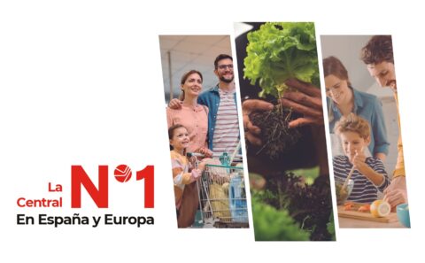 Movil_Banner_Euromadi1
